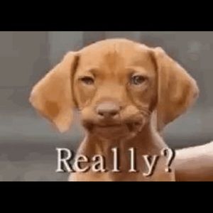 Meet your Posher, Lynn